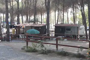 Camping Lungomare - Stellplatz zwischen Bäumen auf dem Campingplatz
