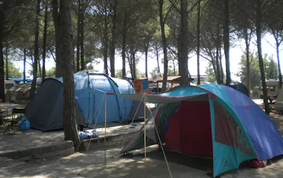 Villaggio Camping Lungomare