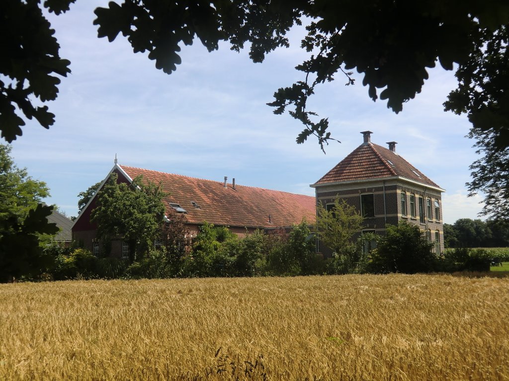 Camping Lutje Kössink