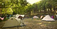 Camping Luxor Quies -  Zeltplätze auf der Wiese  umringt von Wald