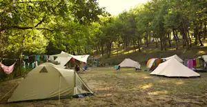 Camping Luxor Quies - Zeltplätze auf der Wiese umringt von Wald