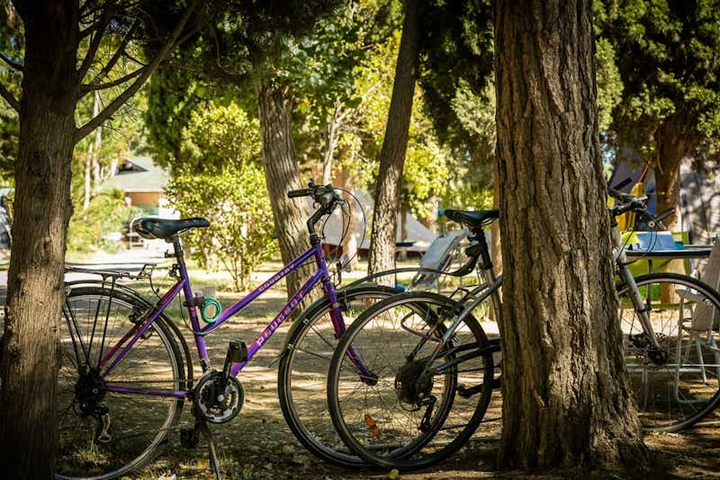 Camping Ma Prairie - Fahrräder unter Bäumen geparkt