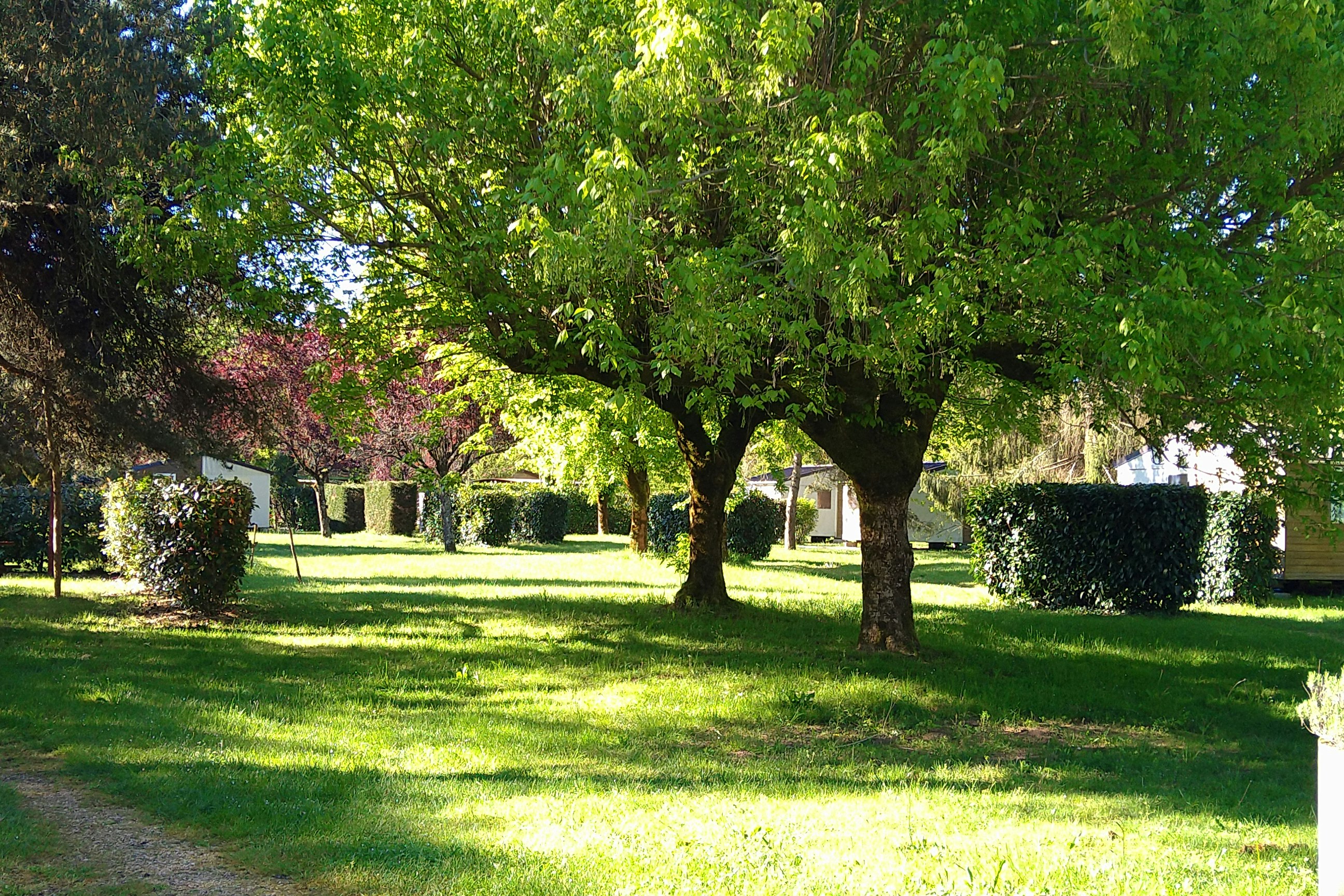 Camping Magali Plage - Standplätze im Grünen auf dem Campingplatz