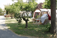 Camping Magali  -  Stellplatz vom Campingplatz zwischen Bäumen
