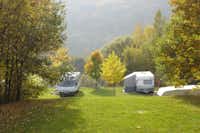 Camping Main-Spessart-Park  -  Stellplatz vom Campingplatz im Grünen