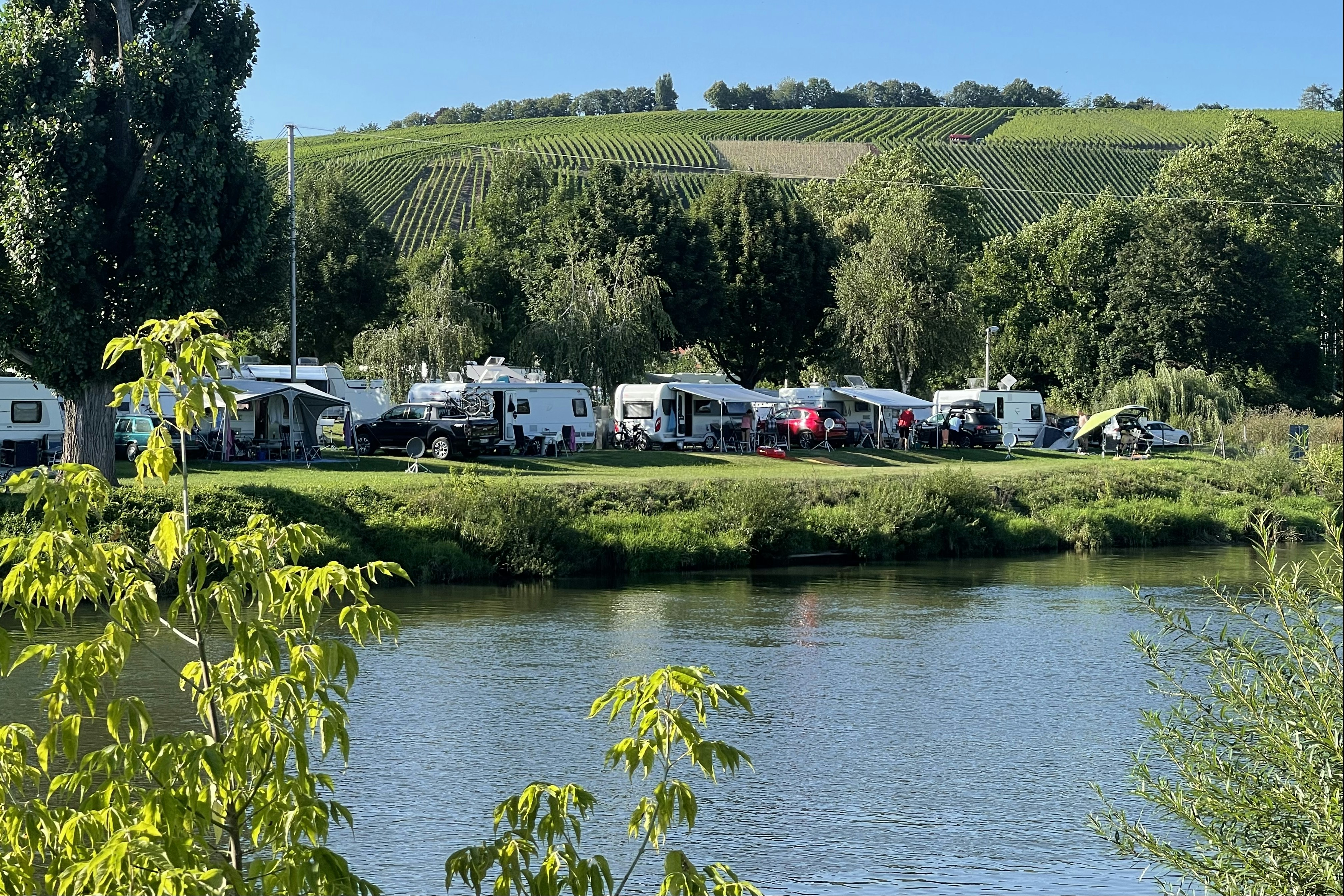 Campingplatz am See: Wohnwagen und Zelte am Ufer, Rasen und Bäume, im Hintergrund Weinberge und Hügel.