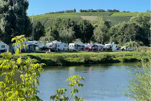 Campingplatz am See: Wohnwagen und Zelte am Ufer, Rasen und Bäume, im Hintergrund Weinberge und Hügel.