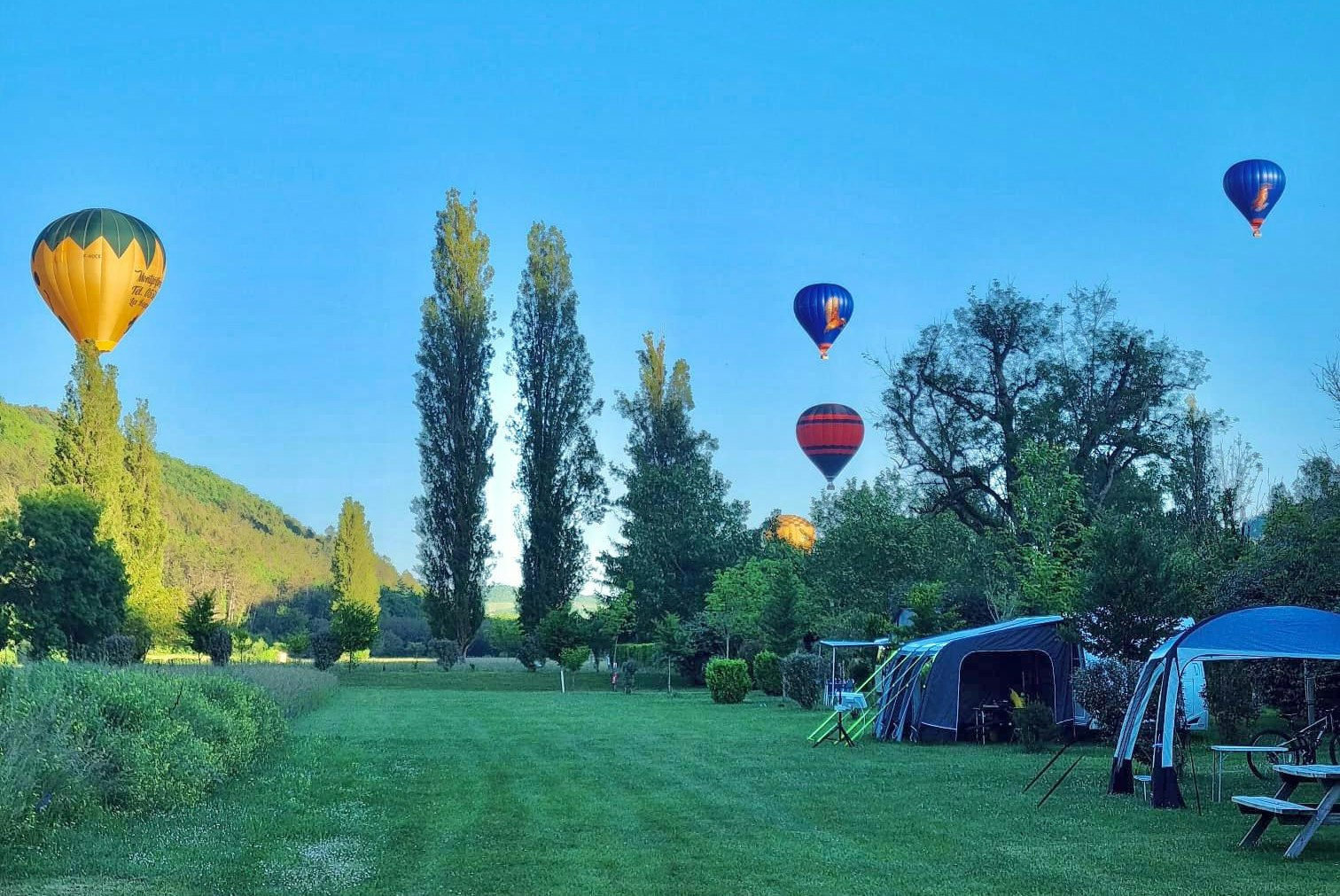 Campingwiese mit mehreren Zelten am Rand, Bänke und hohe Bäume, im Hintergrund fliegen Heißluftballons am blauen Himmel.