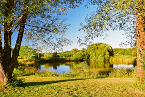 Grüner Campingplatz am See mit Rasenfläche, Bäumen und ruhigem Wasser im Hintergrund.