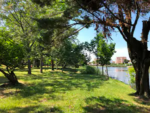Grüne Wiese am See mit Bäumen und Schatten, im Hintergrund Gebäude am Ufer.