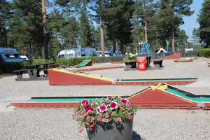 Minigolfanlage auf dem Campingplatz mit bunten Bahnen, Blumen im Vordergrund und Wohnwagen im Hintergrund zwischen Kiefern.