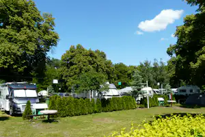 Reihe von Wohnmobilen auf einem Campingplatz, umgeben von Hecken, Rasen und Bäumen, mit Stellplätzen und Wegen.