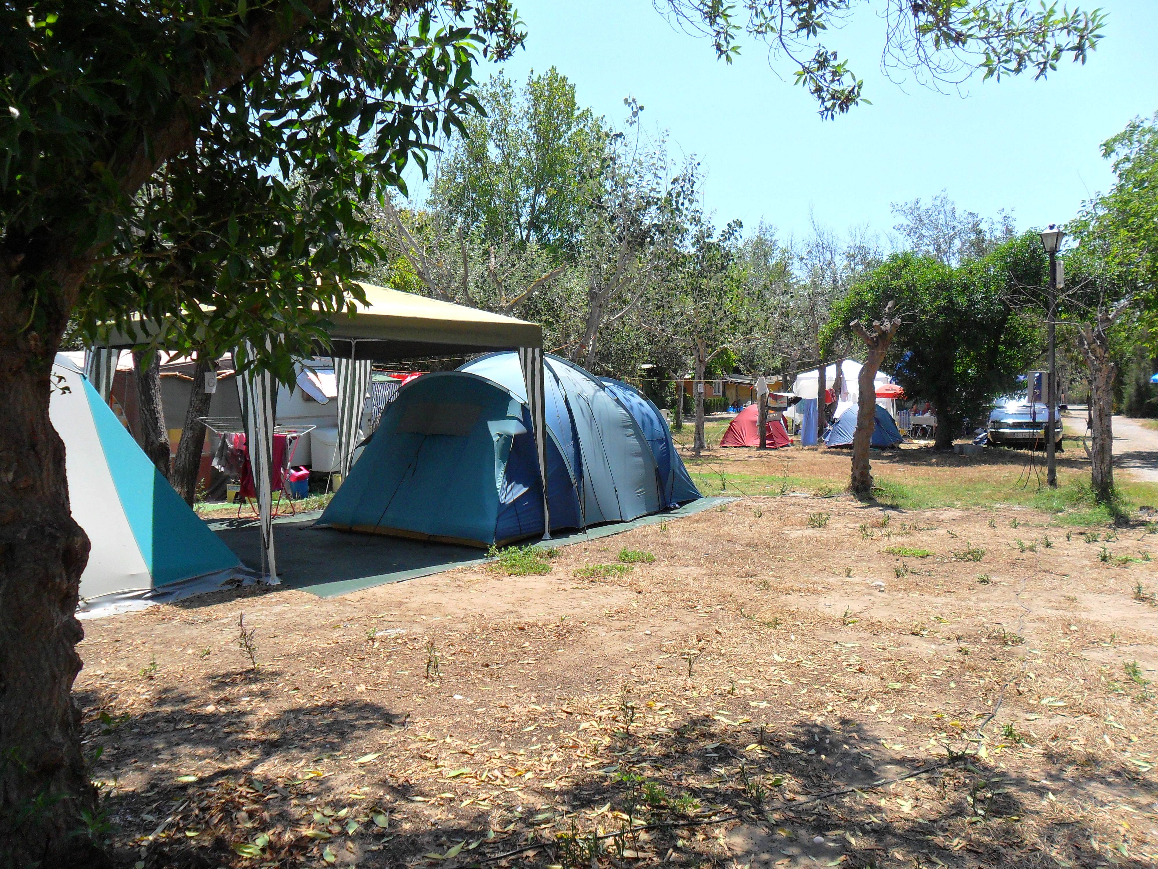 Camping Malvarrosa De Corinto