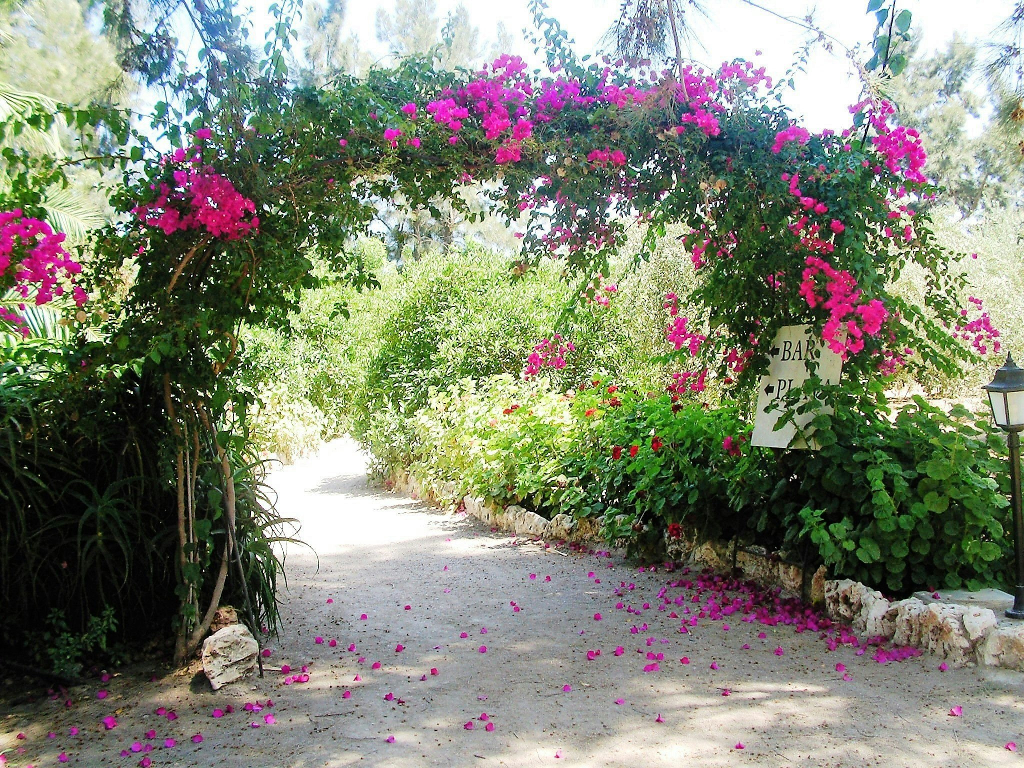 Camping Malvarrosa De Corinto