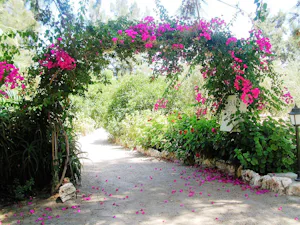 Camping Malvarrosa De Corinto