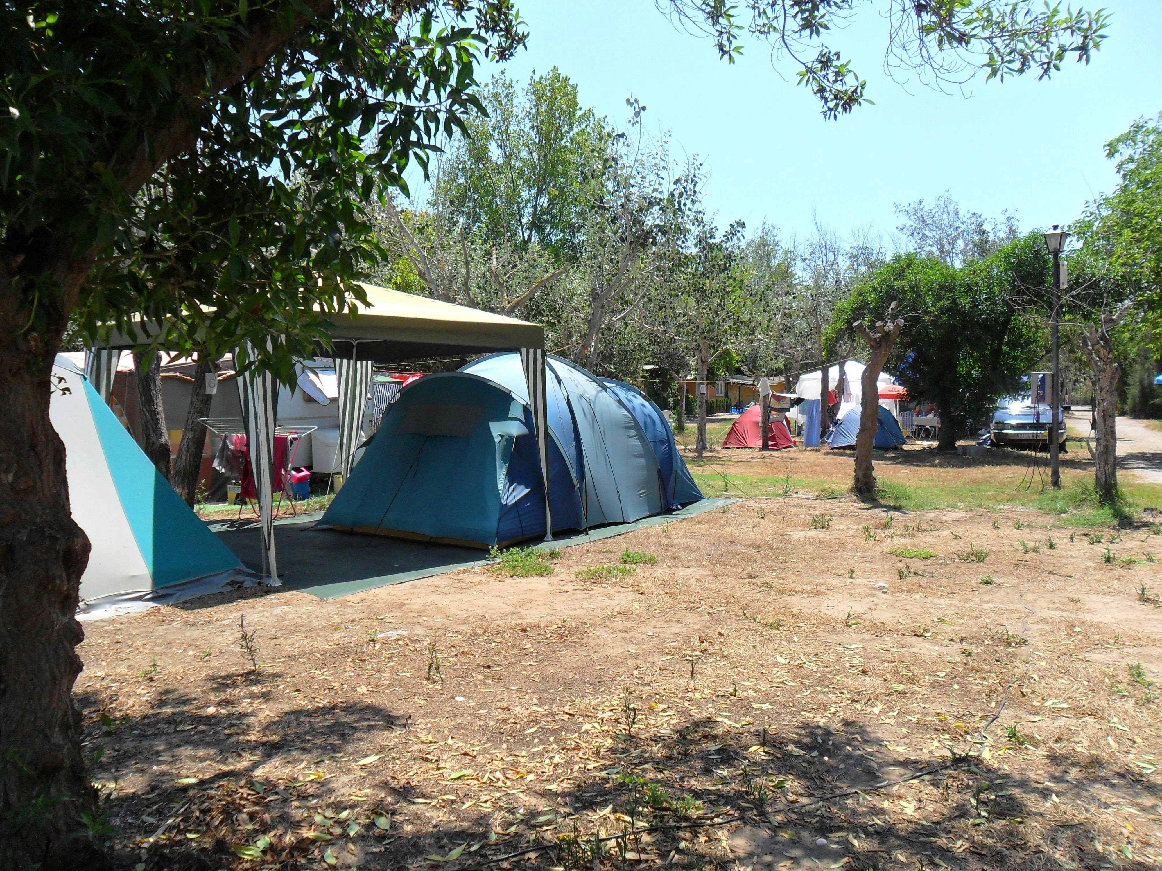 Camping Malvarrosa De Corinto