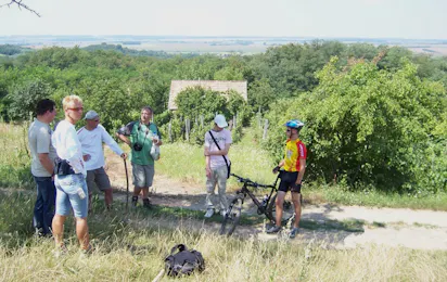 Camping Mambo-Almamellék
