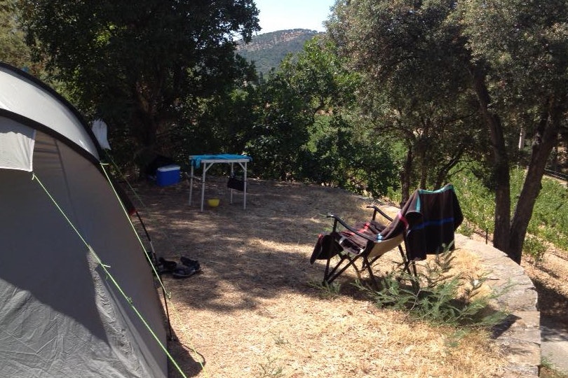 Camping Manjastre - Zeltplatz im Halbschatten