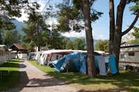 Camping Manor Farm (1)  -  Wohnwagen- und Zeltstellplatz auf grüner Wiese auf dem Campingplatz