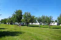 Camping Manser - Feld für sportliche Aktivitäten