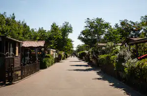 Camping-Gasse mit gepflastertem Weg, Holzveranden und Zäunen, umgeben von Bäumen und Sträuchern.