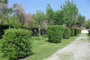 Grüner Campingplatz mit gepflegtem Rasen, Hecken und Kiesweg, umgeben von Bäumen und Sträuchern.