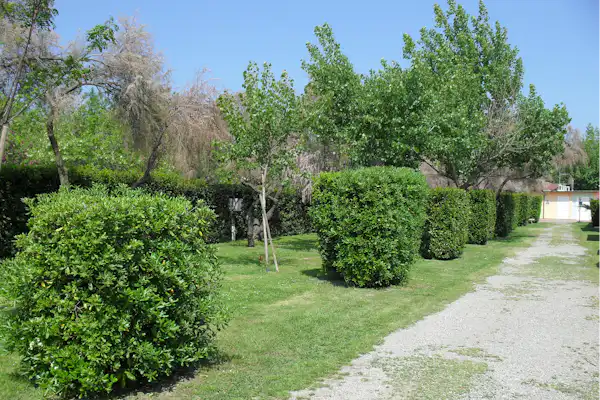 Camping Mare e Sole