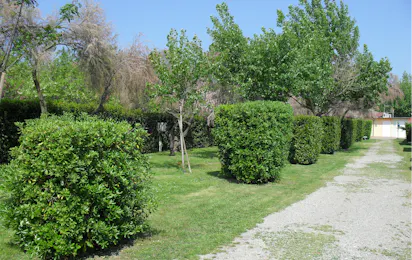 Camping Mare e Sole