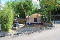Camping Mare Monti - Campingbereich für Zeltplatz unter Bäumen auf dem Campingplatz