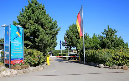 Camping Mare