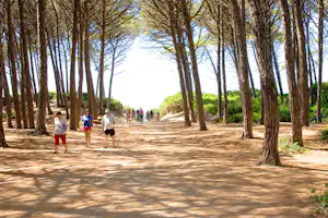 Camping Mareblu - Weg zum Strand