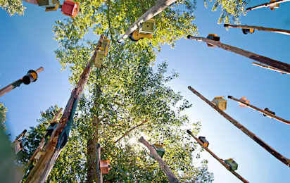 Camping Marecchia da Quinto