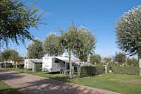 Camping Marelago  -  Wohnwagen- und Zeltstellplatz zwischen Bäumen auf dem Campingplatz