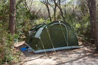 Camping Maremma Sans Souci  -  Zeltstellplatz zwischen Bäumen auf dem Campingplatz