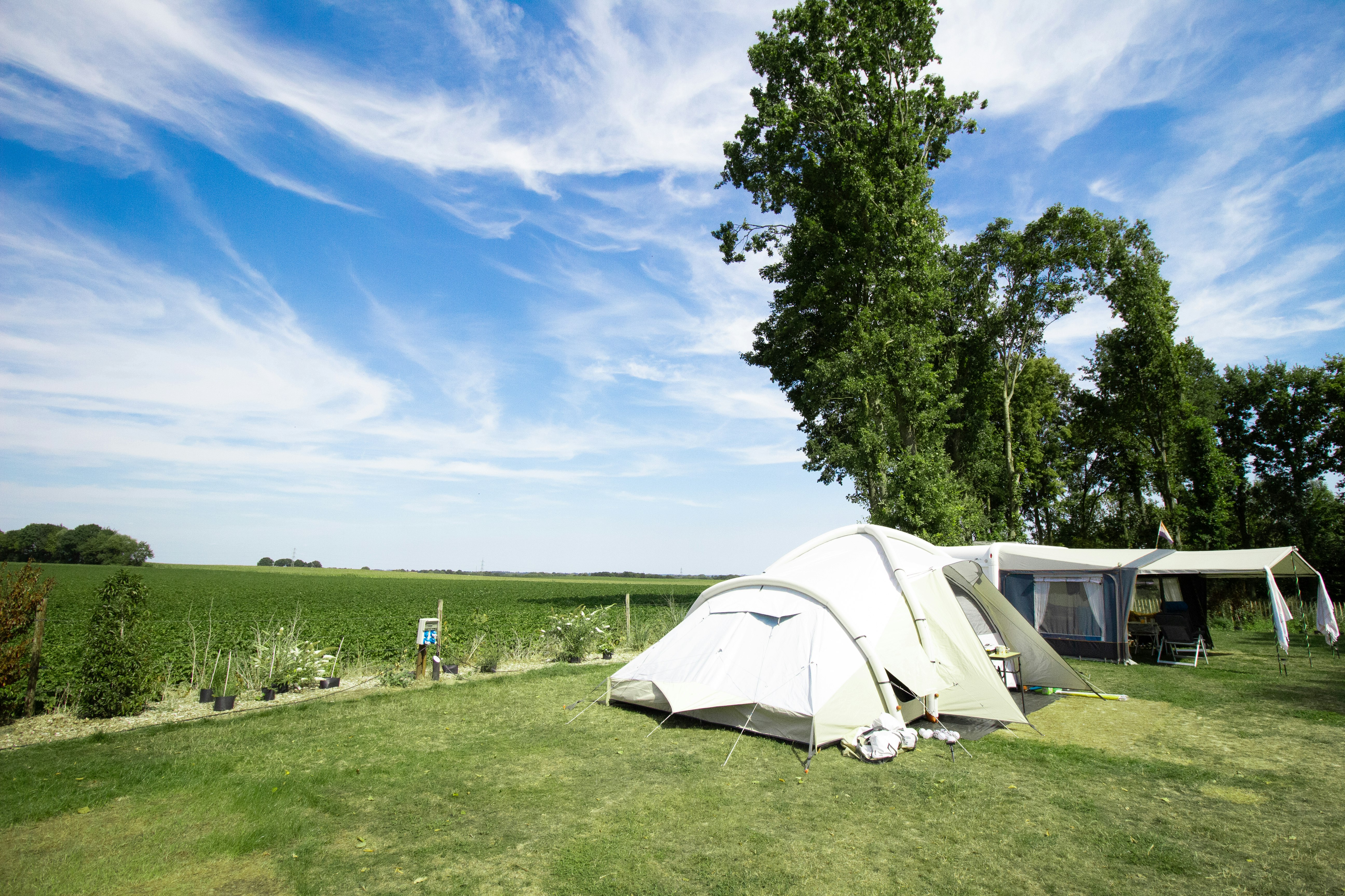 Camping Mareveld - Standplätze im Grünen auf dem Campingplatz
