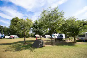 Camping Mareveld - Zeltplätze auf dem Campingplatz