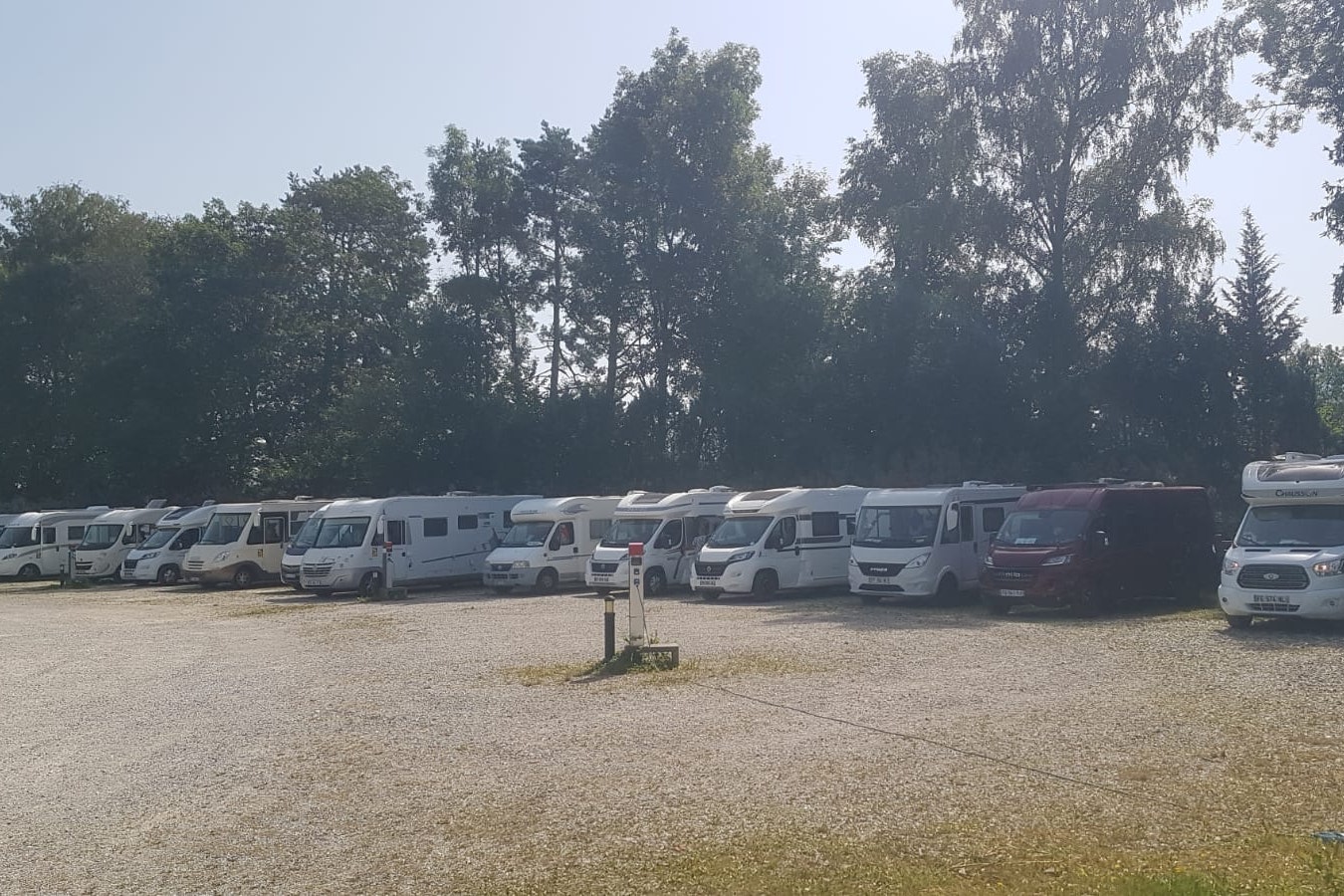 Reihe von Wohnmobilen auf einem Campingplatz, Kiesfläche und hohe Bäume im Hintergrund.