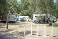 Camping Marina di Rossano  -  Wohnwagen- und Zeltstellplatz zwischen Bäumen auf dem Campingplatz