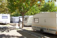 Camping Mariola - Wohnmobilstellplätze zwischen Bäumen auf dem Campingplatz