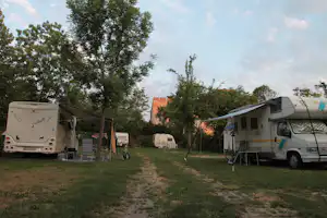 Wohnmobile auf einem Campingplatz im Grünen, mit Grasweg zwischen Stellplätzen und Bäumen im Hintergrund.