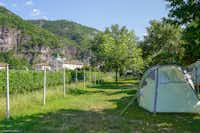 Camping Markushof  -  Zeltstellplatz mit Blick auf die Berge