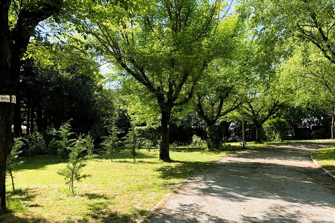 Camping Sunêlia Mas de Nicolas