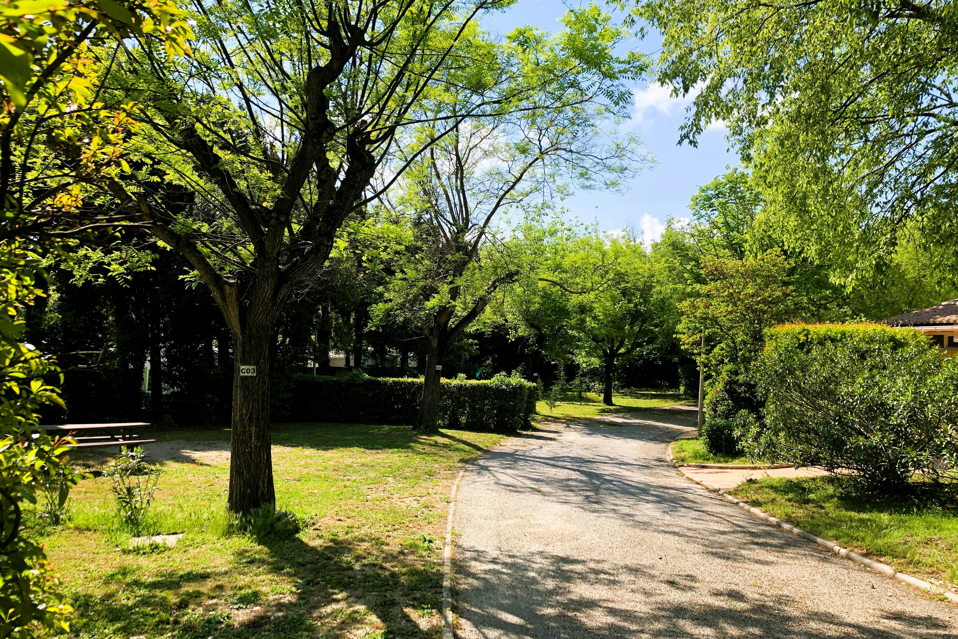 Camping Mas de Nicolas  Camping Sunêlia Mas de Nicolas - Standplätze zwischen Büschen und Bäumen