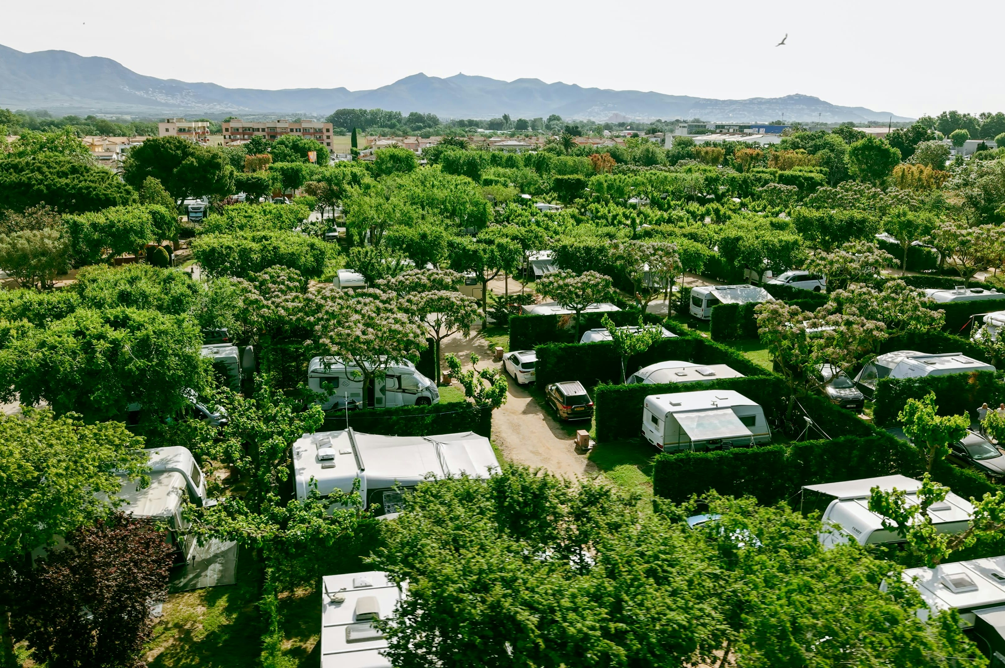 Camping Mas Nou - Standplätze im Grünen auf dem Campingplatz