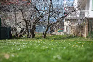 Camping Maslinik - Mobilheime vom Campingplatz mit Veranden im Grünen