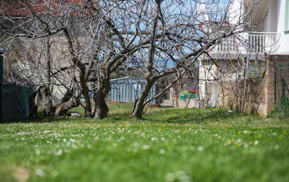 Camping Maslinik