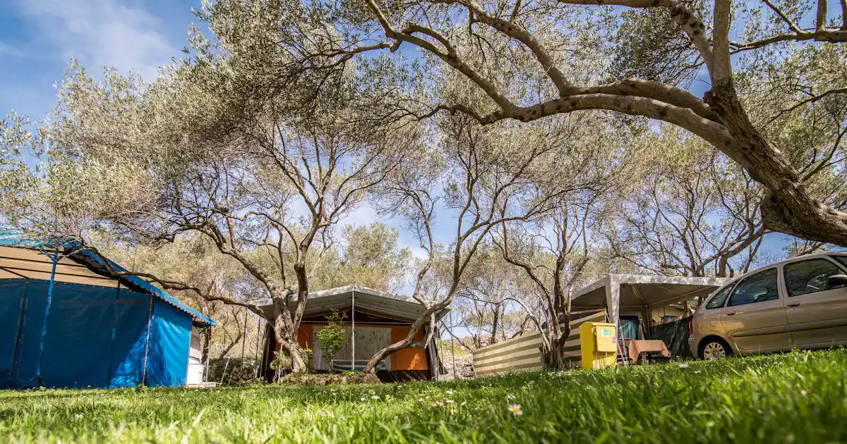 Camping Maslinik photo 5