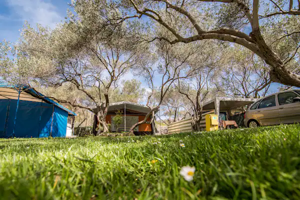 Camping Maslinik
