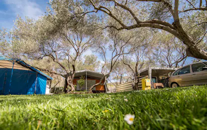 Camping Maslinik