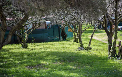Camping Maslinik